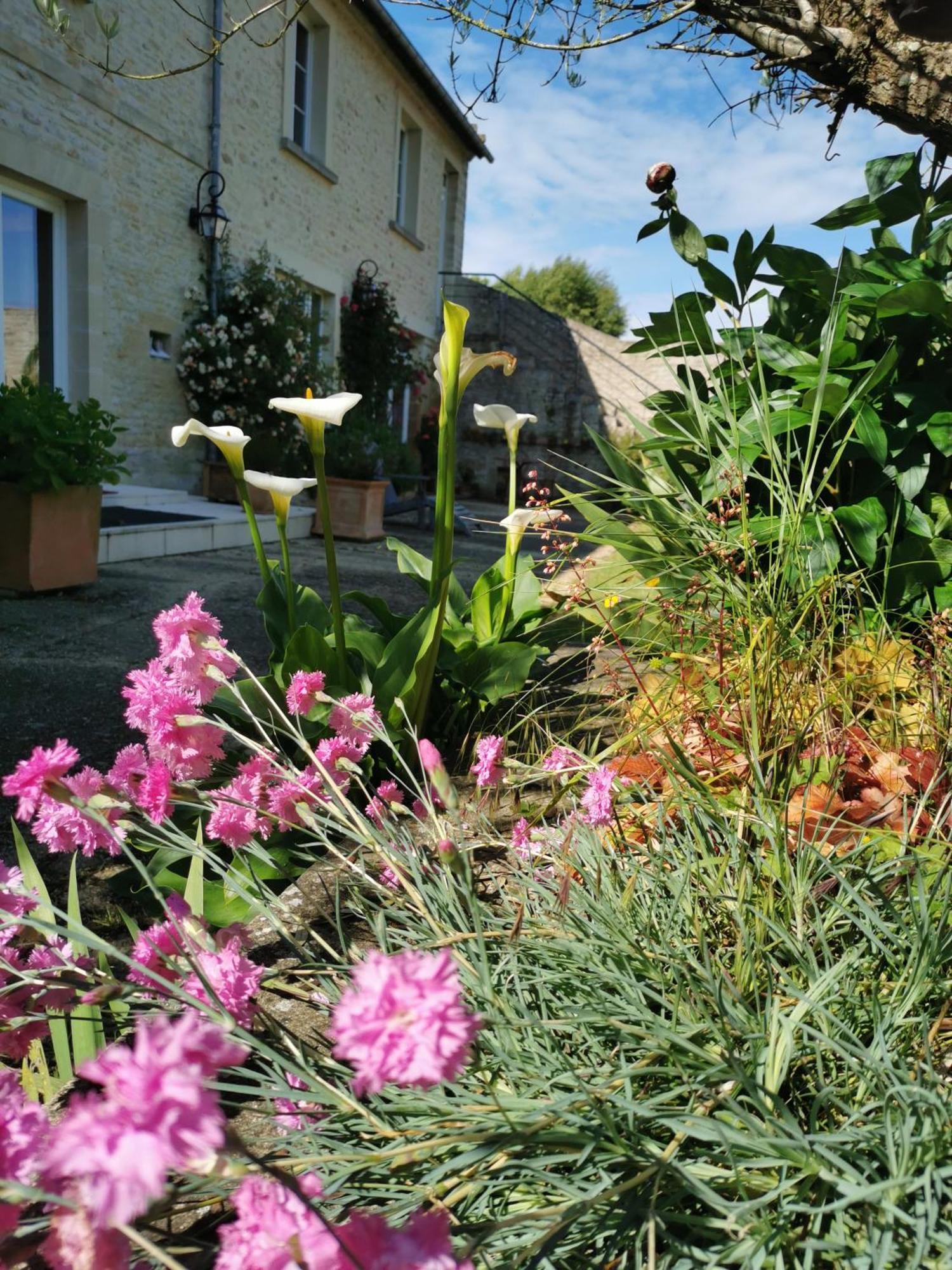 Chambre De L'Iris Sainte-Croix-sur-Mer Zewnętrze zdjęcie